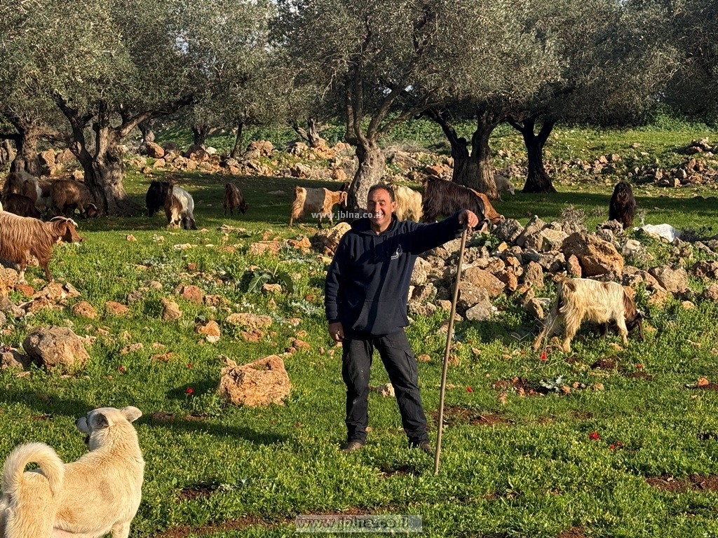 في الطبيعة مع طلعت 2